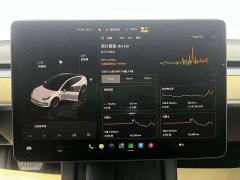 Tesla Model 3 Rear-Wheel Drive - ფოტო 6