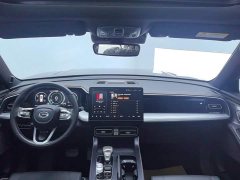 GAC Trumpchi GS8 2022 Pilot Series 2.0TGDI 2WD Premium (7-Seater) - photo 12
