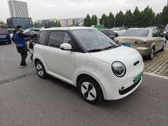 Changan Lumin Treasure Edition 205km Cool Love White CATL - photo 3