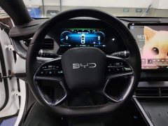 BYD Seal Glory Edition DM-i 1.5L 121km Luxury - photo 15