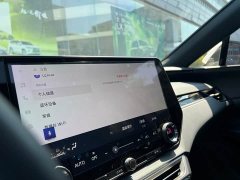 Lexus RX 300 AWD Premium Edition - photo 16