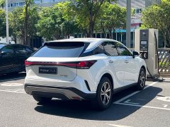 Lexus RX 300 AWD Premium Edition - photo 18