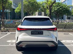 Lexus RX 300 AWD Premium Edition - photo 19