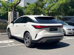 Lexus RX 300 AWD Premium Edition - photo 20