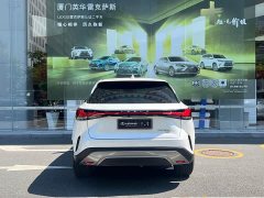 Lexus RX 300 AWD Premium Edition - photo 3