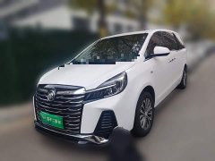Buick GL8 Facelift Land Executive Cabin Luxury - фото 1