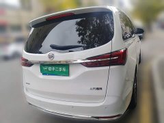 Buick GL8 Facelift Land Executive Cabin Luxury - фото 4