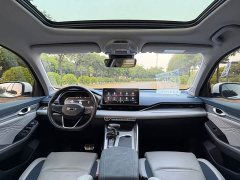 Geely Xingrui 2.0T Diesel Flagship - ფოტო 11