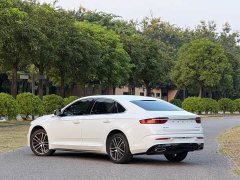 Geely Xingrui 2.0T Diesel Flagship - ფოტო 5