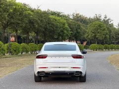 Geely Xingrui 2.0T Diesel Flagship - ფოტო 6