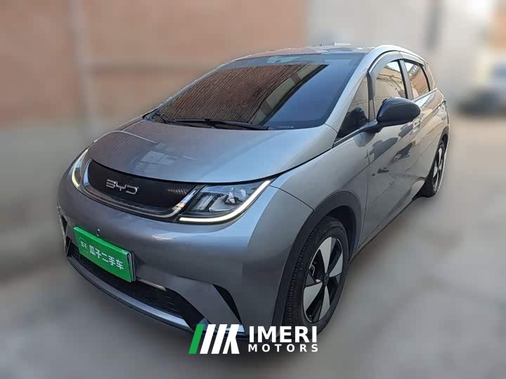 BYD Dolphin 420km Freedom Edition - car from China