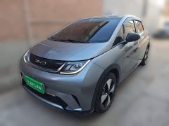 BYD Dolphin 420km Freedom Edition - photo 1