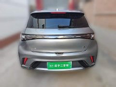 BYD Dolphin 420km Freedom Edition - photo 3