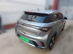 BYD Dolphin 420km Freedom Edition - photo 4