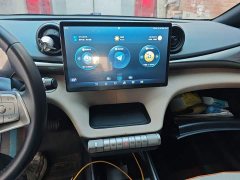 BYD Dolphin 420km Freedom Edition - photo 9