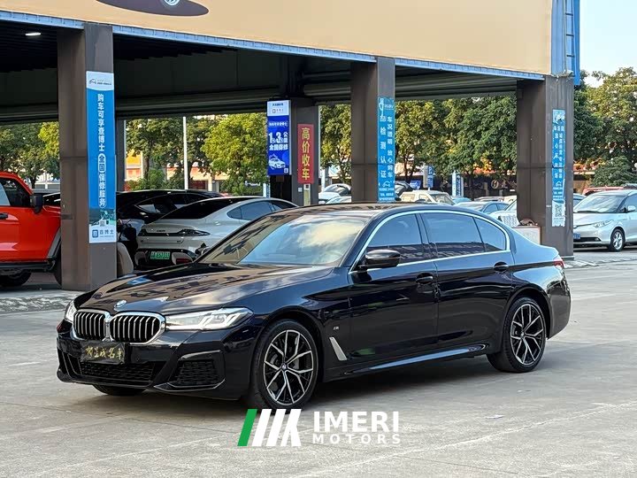 BMW 5 Series 530Li Luxury M Sport Package - car from China