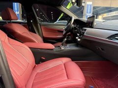 BMW 5 Series 530Li Luxury M Sport Package - photo 12