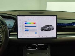 BYD Han DM-i 121KM Respect Edition - ფოტო 13