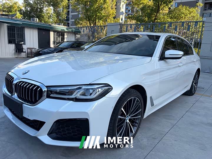 BMW 5 Series 530Li xDrive M Sport Package - car from China