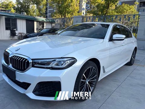 2022 BMW 5 Series 530Li xDrive M Sport Package - car from China