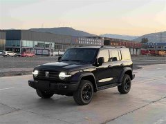 Tank 300 2.4T Diesel - ფოტო 1