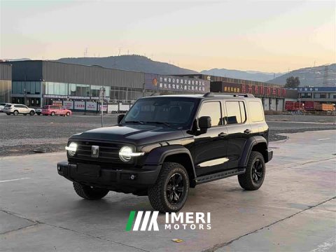 2026 Tank 300 2.4T Diesel - car from China