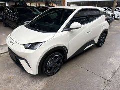BYD Seagull Freedom Edition - photo 1