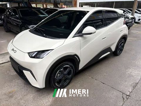 2023 BYD Seagull Freedom Edition - автомобиль из Китая