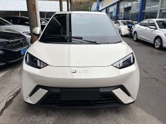 BYD Seagull Freedom Edition - photo 2