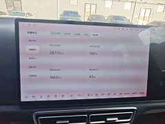 Li Auto L8 Pro - ფოტო 5