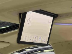 Toyota Vellfire Dual Engine 2.5L Black Gold Limited Edition - фото 16