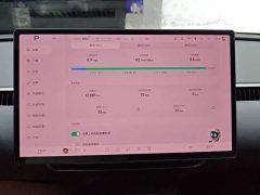 Xpeng Xiaopeng MONA M03 620 Extended Range - ფოტო 14