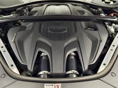 Porsche Panamera 2.9T - photo 14