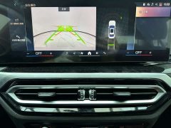 BMW 3 Series 320Li M Sport Package - фото 19