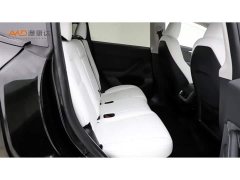 Tesla Model 3 Rear-Wheel Drive - photo 8