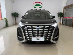 Denza D9 DM-i 980 Four-Wheel Drive Premium - фото 1