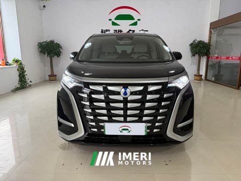 2025 Denza D9 DM-i 980 Four-Wheel Drive Premium - car from China