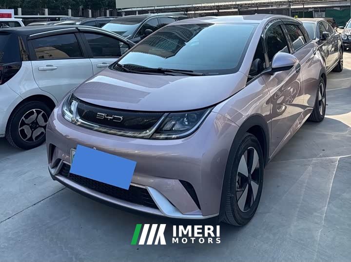 BYD Dolphin 420km Freedom Edition - ავტომობილი ჩინეთიდან