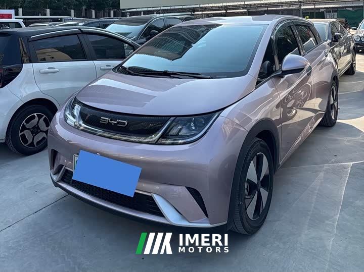 BYD Dolphin 420km Freedom Edition
