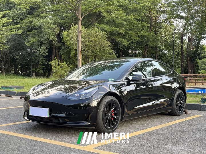 Tesla Model 3 Standard Range RWD Upgrade 3D6