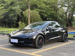 Tesla Model 3 Standard Range RWD Upgrade 3D6 - photo 1