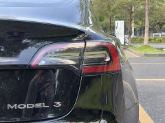 Tesla Model 3 Standard Range RWD Upgrade 3D6 - photo 13
