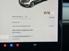 Tesla Model 3 Standard Range RWD Upgrade 3D6 - photo 15