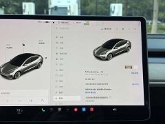 Tesla Model 3 Standard Range RWD Upgrade 3D6 - photo 17