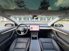 Tesla Model 3 Standard Range RWD Upgrade 3D6 - photo 19