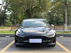 Tesla Model 3 Standard Range RWD Upgrade 3D6 - photo 2