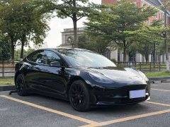 Tesla Model 3 Standard Range RWD Upgrade 3D6 - photo 3