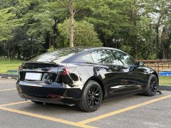 Tesla Model 3 Standard Range RWD Upgrade 3D6 - photo 4