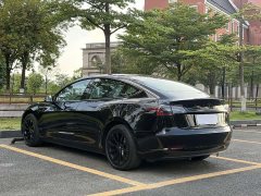 Tesla Model 3 Standard Range RWD Upgrade 3D6 - photo 6