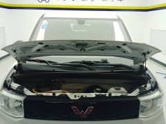 Wuling Hongguang MINIEV Deluxe Edition LFP Battery - ფოტო 10